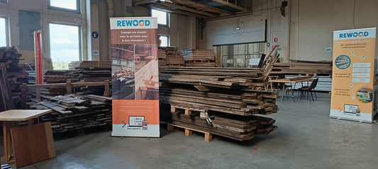 Rewood s’installe à Tissel Carihem : le réemploi du bois à Roubaix