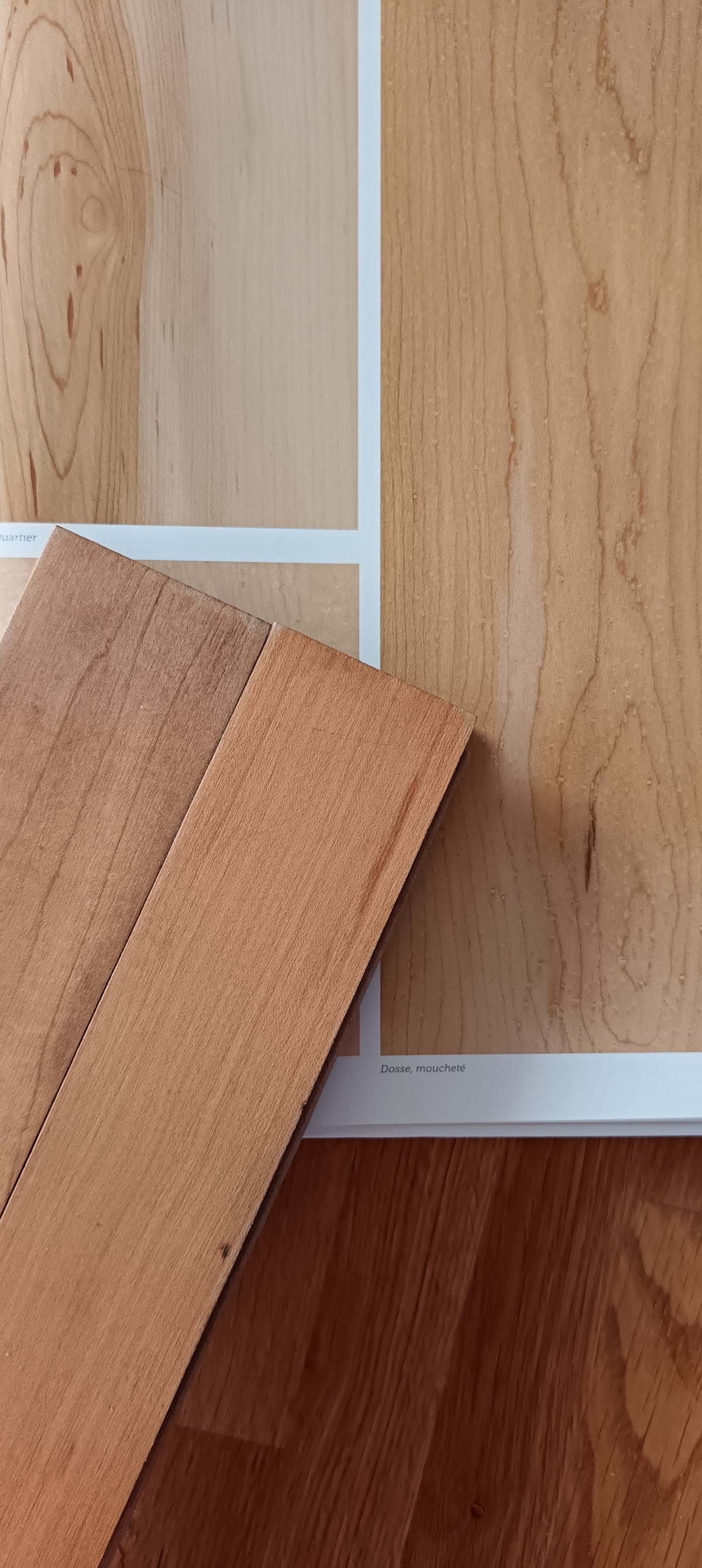 Petites pièces de bois et échantillons de matière